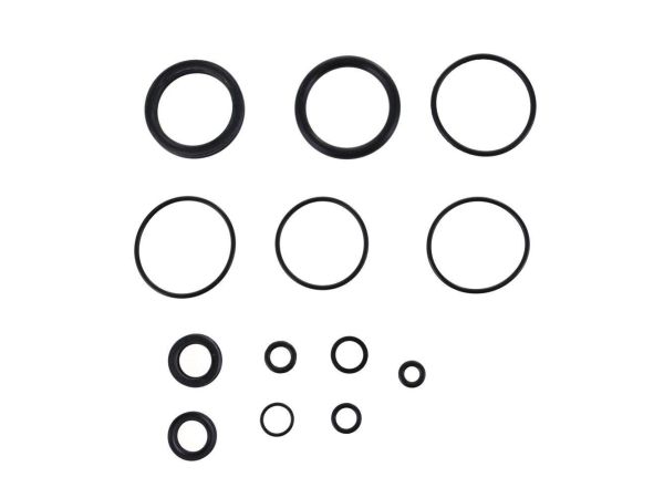 Fox 34 Air shaft Seal kit...